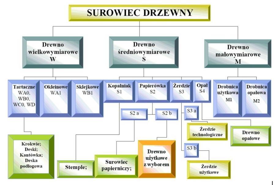 Podział surowca drzewnego