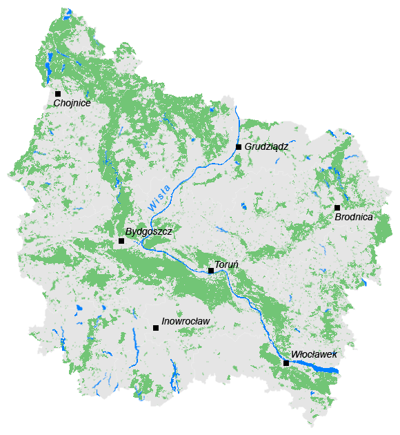 Rozmieszczenie lasów RDLP w Toruniu