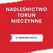 Nadleśnictwo Toruń nieczynne