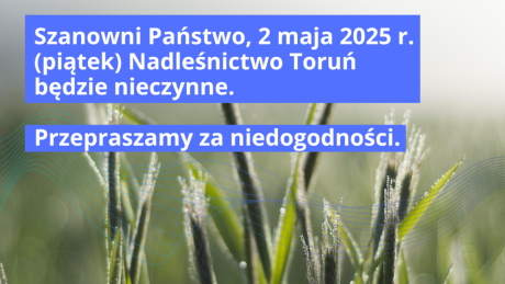 Nadleśnictwo Toruń w dniu 2 maja 2025 r. nieczynne